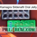 Kamagra Sildenafil Oral Jelly new04